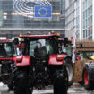 Colère agricole : Bruxelles propose de détricoter les règles vertes de la PAC