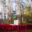 Protest gegen Tesla – Aktivisten wollen Baumhaus-Camp nicht räumen