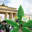 Cannabis im Vermittlungsausschuss: SPD wirft Union bei Cannabislegalisierung Verfahrenstricks vor