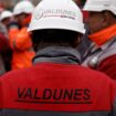 Le tribunal de commerce de Lille rendra le 20 mars sa décision au sujet de la reprise par Europlasma de Valdunes, dernier fabricant français de roues de trains