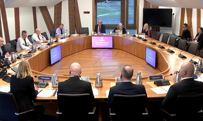 Pic: Scottish Parliament TV