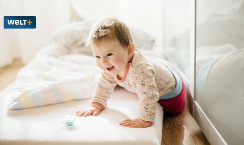 Spielzeug, Zahnpasta, Matratzen – Forscher belegen Gefahr von Chemikalien für kindliches Hirn
