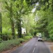 The Salisbury Road at East Woodyates. Pic: Google