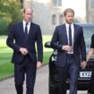 Kate Middleton cancer - latest: King Charles returns to public duties as William and Catherine to miss key event