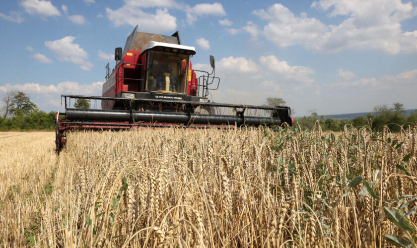 L'Union européenne divisée sur les restrictions agricoles à imposer à l'Ukraine