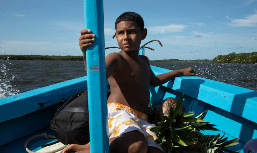 Au Brésil, à la rencontre des gardiens de la mangrove