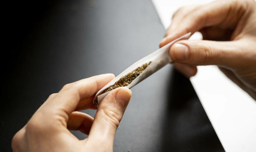 L’Allemagne va légaliser partiellement le cannabis à fins récréatives