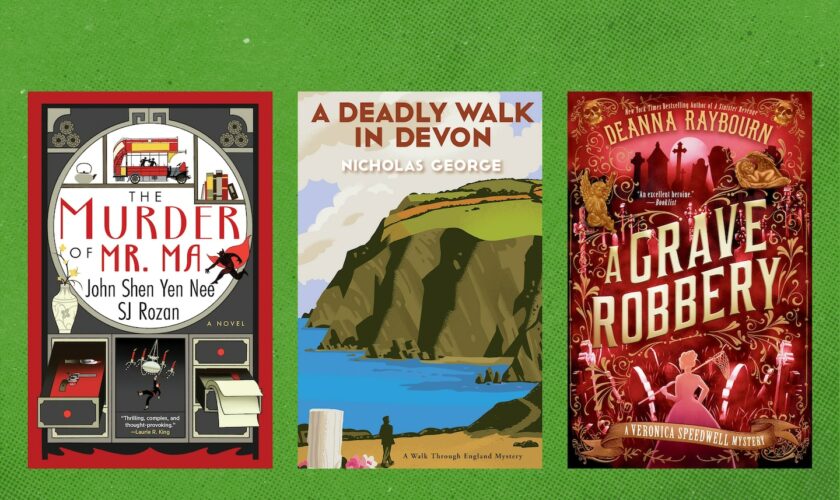5 new mystery novels whisk readers around the globe
