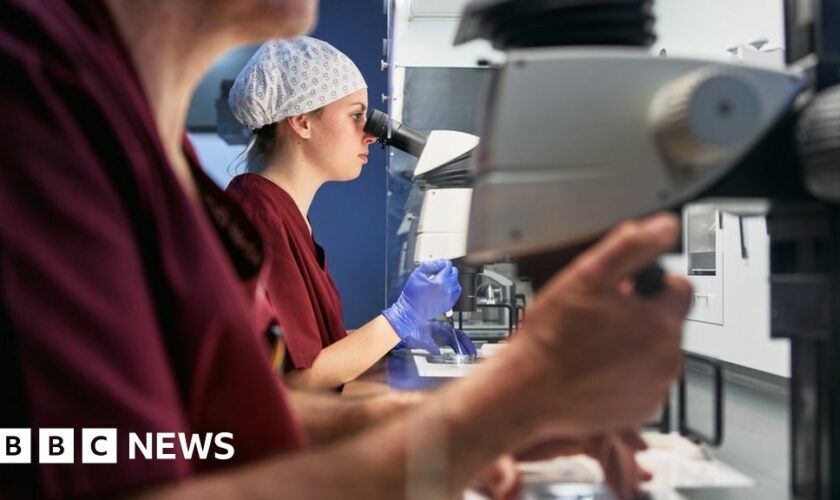File image of people at work inside an IVF clinic