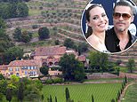 Angelina Jolie loses legal bid to throw out ex-husband Brad Pitt's claim she sold $64M stake in Miraval vineyard to Russian oligarch without his agreement