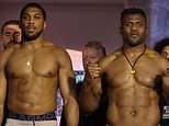 Anthony Joshua vs Francis Ngannou - Knockout Chaos: Ring walk time, undercard results and round-by-round updates as the two main men are primed and ready to go, with Cristiano Ronaldo and Tyson Fury watching