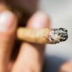 Cannabis-Legalisierung: Die große Kiffer-Amnestie - Justiz muss Zehntausende Fälle prüfen