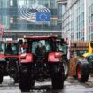 En réponse à la colère agricole, Bruxelles enterre plusieurs obligations environnementales de la PAC