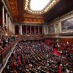 Francia blinda en su Constitución el derecho al aborto