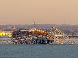 Francis Scott Key Bridge collapse: One critical in hospital, two pulled to safety as Baltimore cops race to save up to 20 who plunged into Patapsco River when Singaporean container ship crashed into bridge