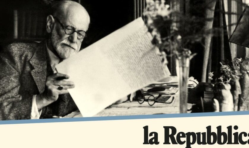 Freud et l'Amérique latine, chronique d'une histoire d'amour