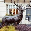 Interior designer and TV star Alison Cork reveals £10,000 life-sized bronze stag has been stolen from outside her Knightsbridge home - after becoming a landmark for London cabbies for 20 years