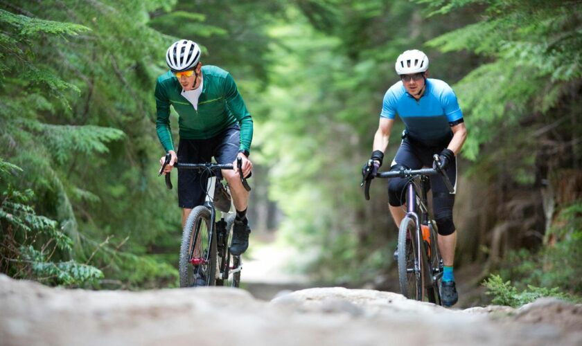 Geschenke für Radfahrer: Zwei Gravelbiker radeln in einem Nadelwald