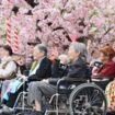 Le Japon, inquiétant laboratoire mondial du déclin démographique