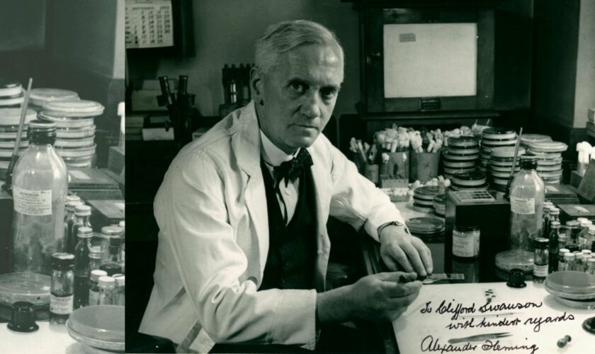 Le coup de chance d'Alexander Fleming, ou la découverte accidentelle de la pénicilline