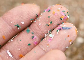 Mikroplastik: Krebszellen können winzige Plastikteilchen weitergeben