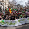Miles de personas marchan en Madrid contra el aborto y en defensa de la vida