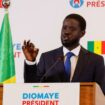 Oppositionskandidat Faye wird neuer Präsident im Senegal