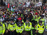 Pro-Palestine protesters are turning London into a 'no-go zone for Jews', claims Britain's counter-extremism tsar as he blasts the Government for letting extremists go 'unchallenged for too long'