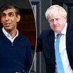 Tory MPs in new plot to oust Rishi Sunak as Prime Minister - and they want Boris to save the Conservatives from a catastrophic defeat