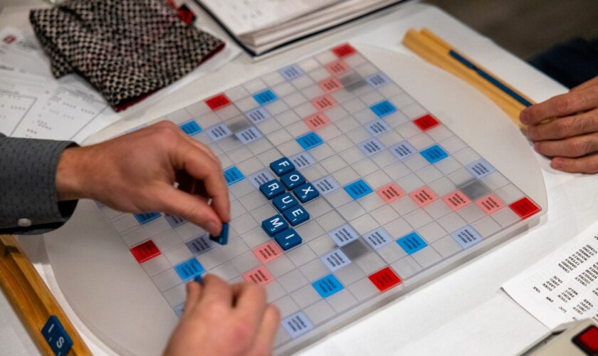‘Noobs.’ ‘Adorbs.’ ‘Effed.’ D.C.'s Scrabble club works out new words to win