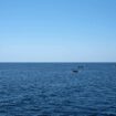 Flüchtlinge: Zyprische Küstenwache rettet 270 Migranten aus dem Meer