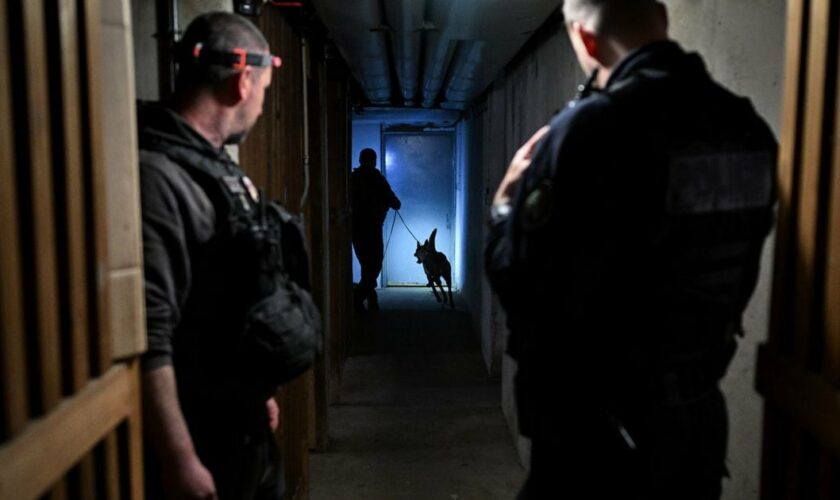 Des policiers de la brigade canine inspectent le sous-sol d'un immeuble, dans le cadre de "l'opération de nettoyage XXL" lancée simultanément dans plusieurs villes de France pour lutter contre le trafic de drogue, le 25 mars 2024 à Chenove, en Côte d'Or