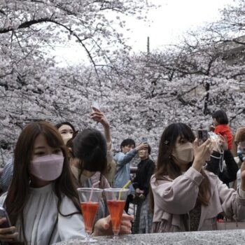 En recrudescence au Japon, faut-il vraiment s'inquiéter de la bactérie "mangeuse de chair" ?