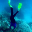 Les récifs de coraux de toute la planète touchés par un phénomène de blanchissement massif