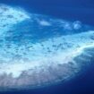 Australie : la Grande barrière de corail n'a jamais autant blanchi