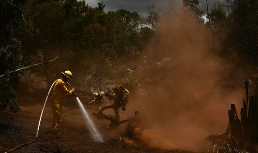 Waldbrände auf Maui: Mobilfunkkollaps erschwerte wohl Krisenmanagement auf Hawaii