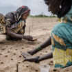 Chaleur meurtrière au Sahel : une étude incrimine le changement climatique "d'origine humaine"
