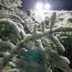 Massenkarambolage bei Glatteis auf A70 – Frost-Prognose für kommende Woche
