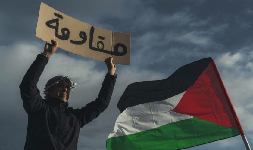 Marseille : un millier de personnes manifestent en soutien à Gaza