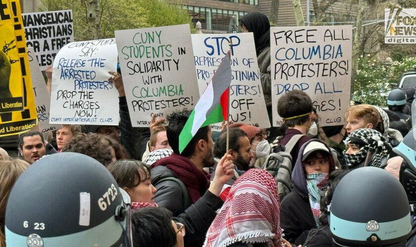 ‘Vicious’ Anti-Israel attacks turn Democratic party against Israel: ‘They're terrified of their rabid core’