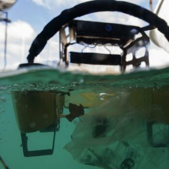 Un rapport du WWF alerte sur la situation en mer Méditerranée où la concentration en plastique est alarmante.