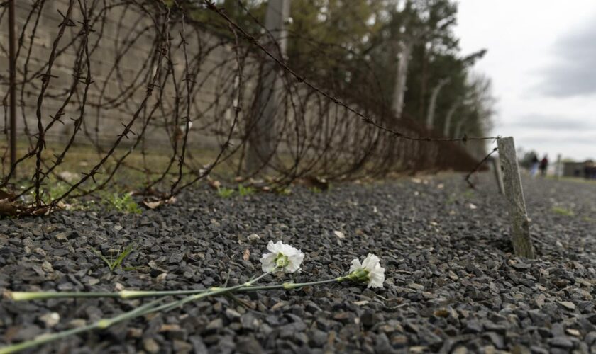 NS-Gedenkstätten: Gedenkstätte Sachsenhausen meldet Zunahme antisemitischer Vorfälle