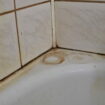 La méthode facile pour des joints de salle de bains éclatants – sans vinaigre blanc ni eau de Javel