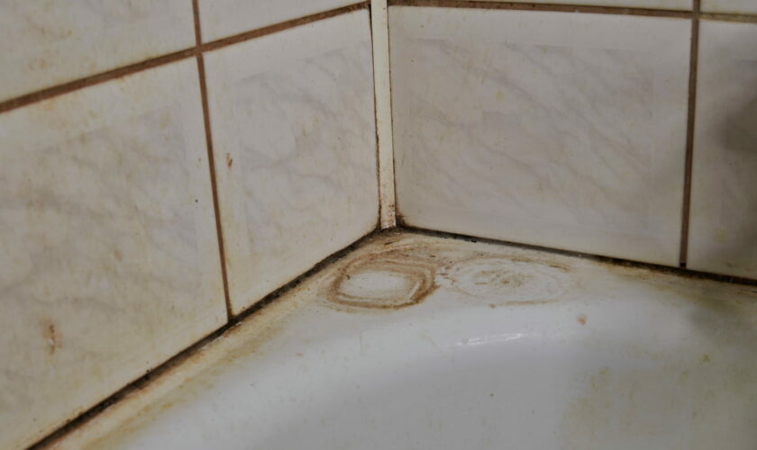La méthode facile pour des joints de salle de bains éclatants – sans vinaigre blanc ni eau de Javel