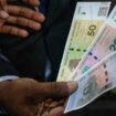 À peine lancée, la nouvelle monnaie du Zimbabwe dévisse