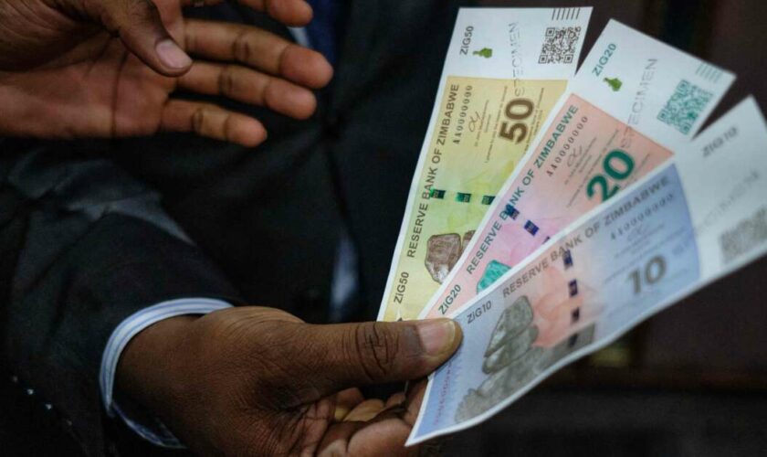 À peine lancée, la nouvelle monnaie du Zimbabwe dévisse