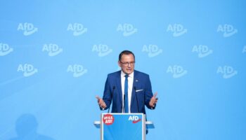 Europawahl: AfD begeht Wahlkampfauftakt ohne Spitzenkandidaten