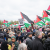 Man arrested for carrying swastika placard and another held for racist remarks at pro-Palestinian march