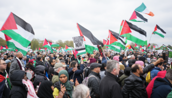 Man arrested for carrying swastika placard and another held for racist remarks at pro-Palestinian march
