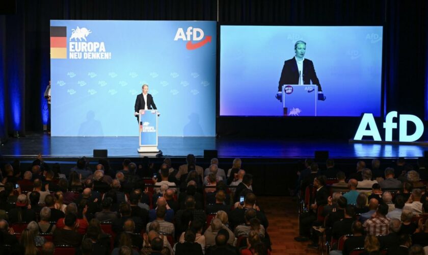 Donaueschingen: AfD läutet Europawahlkampf ein